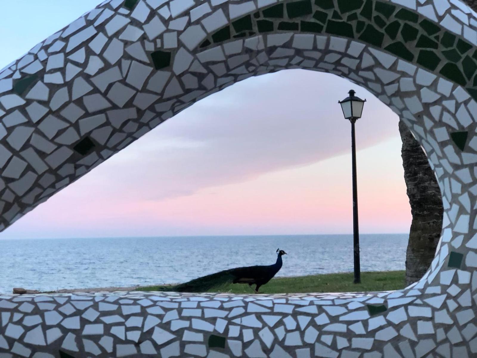 Appartamento Regata Playa Oropesa del Mar Esterno foto
